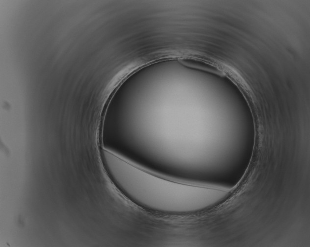 X0000091100946200708061019