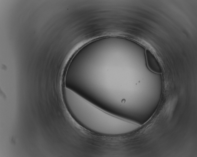 X0000091100947200708061019