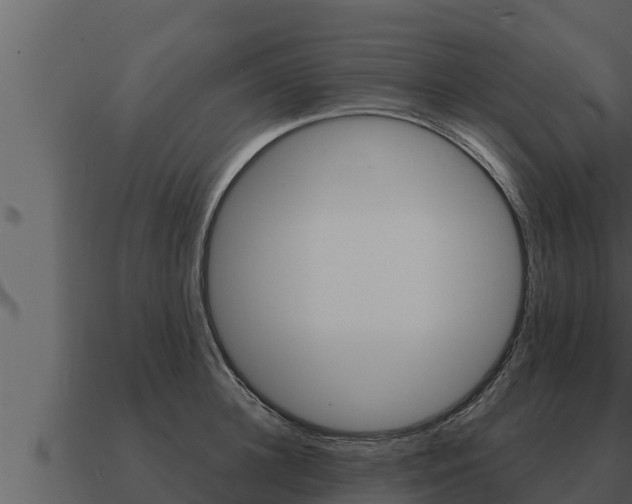 X0000091100948200708061019