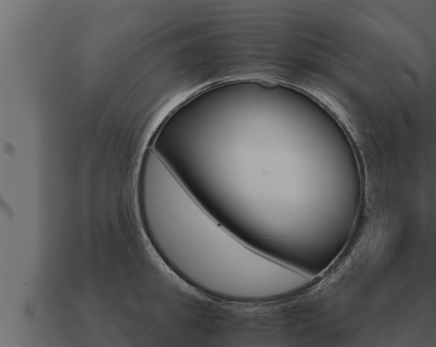 X0000091100949200708061019