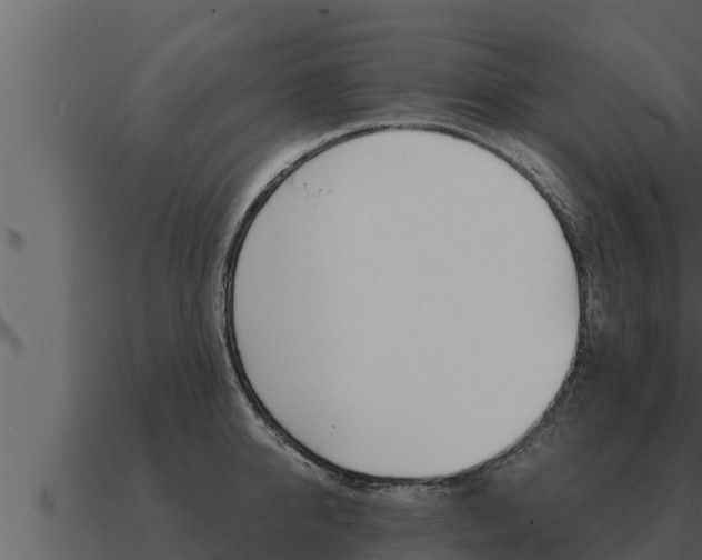 X0000091100950200708061019