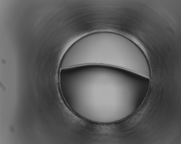 X0000091100951200708061019