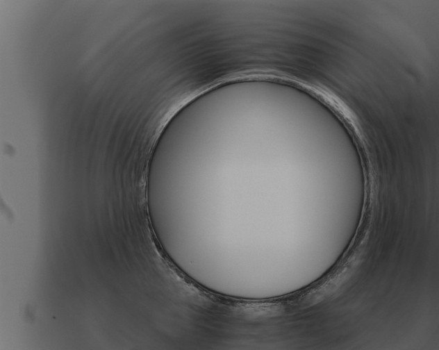 X0000091100953200708061019