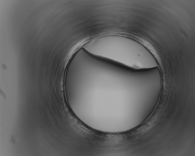 X0000091100954200708061019