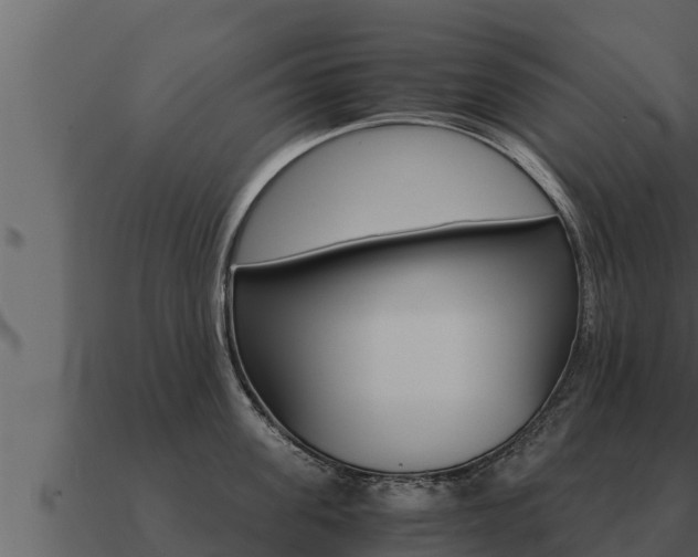X0000091100955200708061019