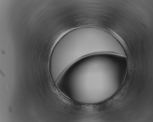X0000091100956200708061019