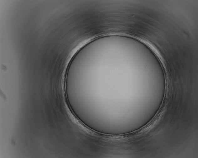 X0000091100957200708061019