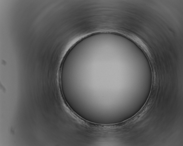 X0000091100958200708061019
