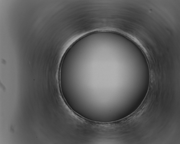 X0000091100959200708061019