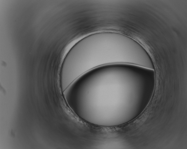 X0000091100960200708061019