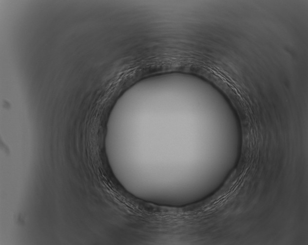 X0000091100961200708061018