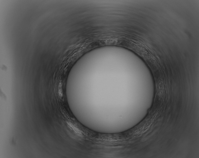 X0000091100962200708061018