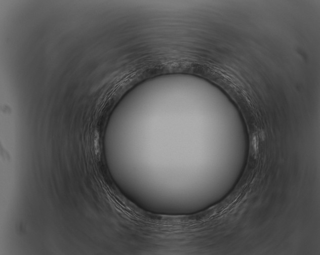 X0000091100963200708061018