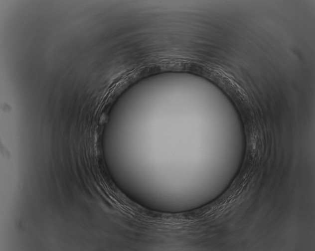 X0000091100964200708061018