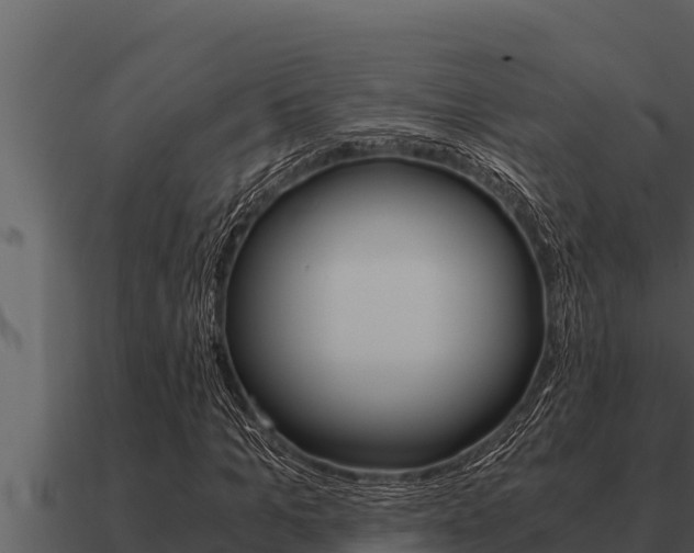 X0000091100965200708061018