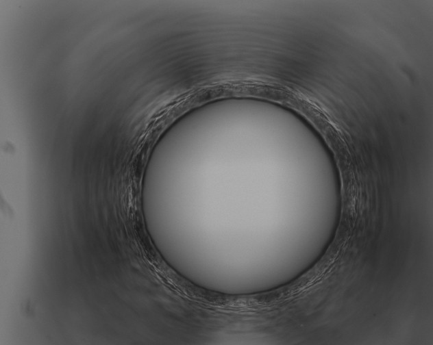 X0000091100966200708061018