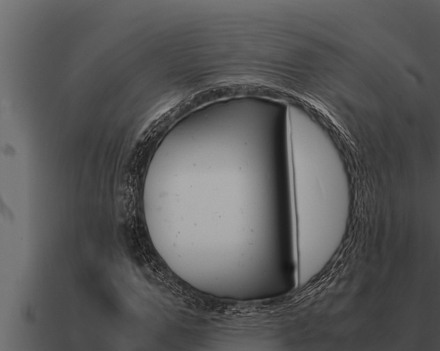 X0000091100967200708061018
