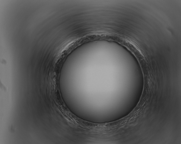 X0000091100968200708061018