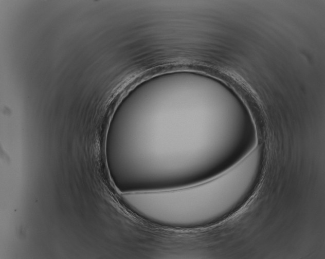 X0000091100969200708061018
