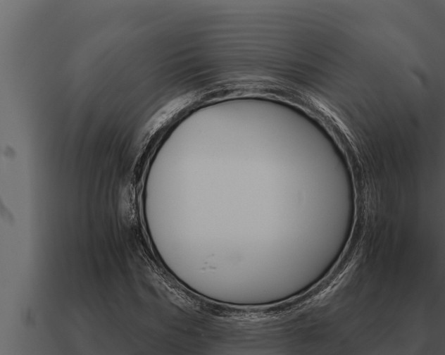 X0000091100970200708061018