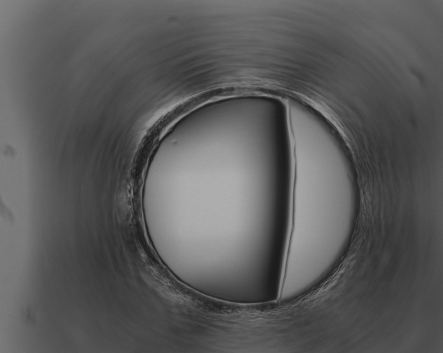 X0000091100971200708061018