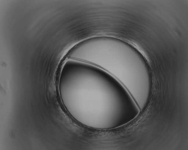 X0000091100972200708061018