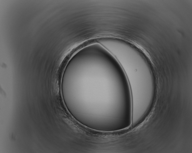 X0000091100973200708061018