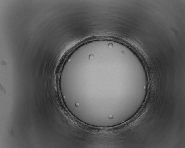 X0000091100974200708061018