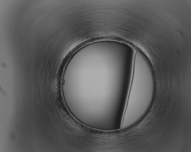 X0000091100975200708061018