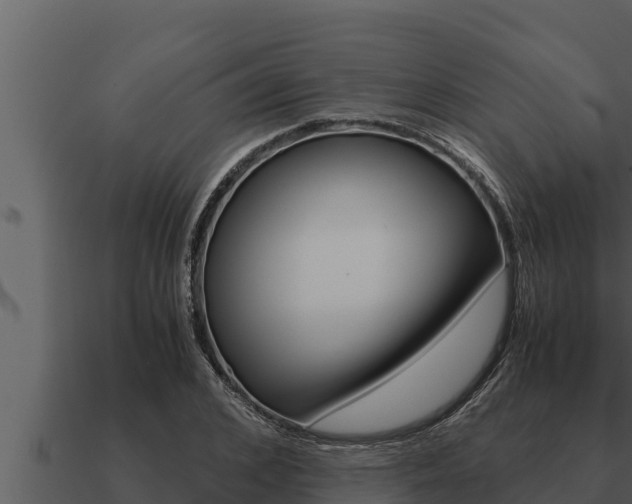 X0000091100976200708061018