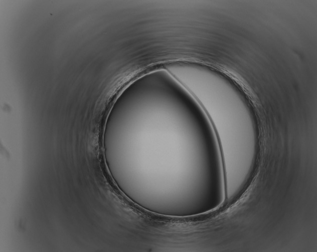 X0000091100977200708061018
