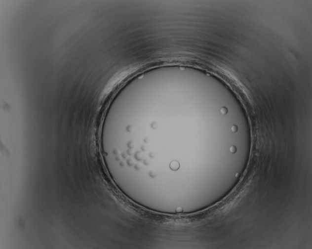 X0000091100978200708061018