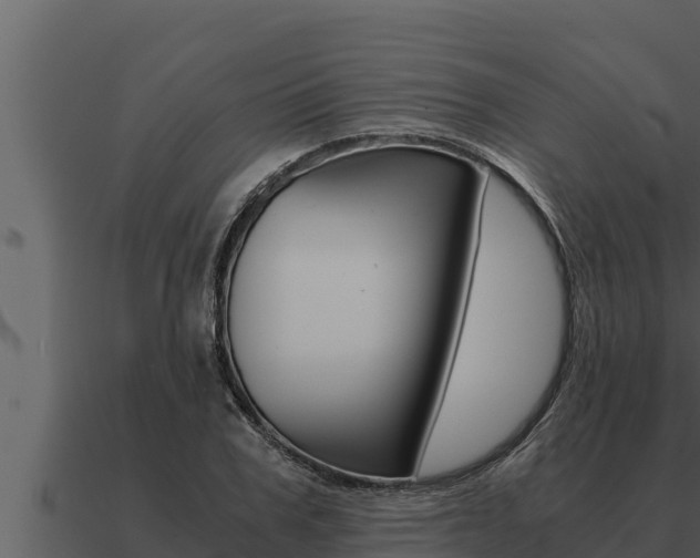X0000091100979200708061018