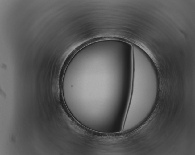 X0000091100980200708061018