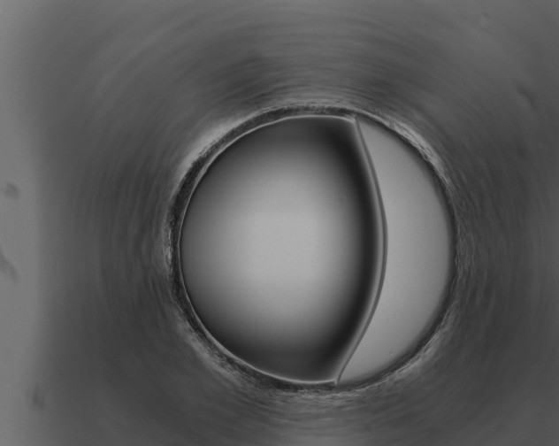 X0000091100981200708061018