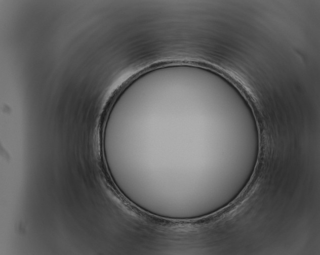 X0000091100982200708061018