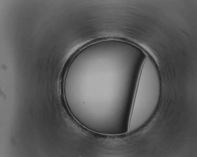X0000091100983200708061018