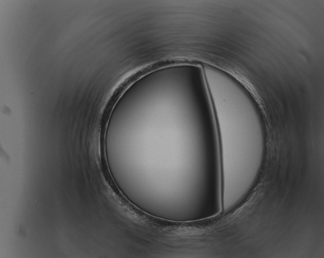 X0000091100984200708061018
