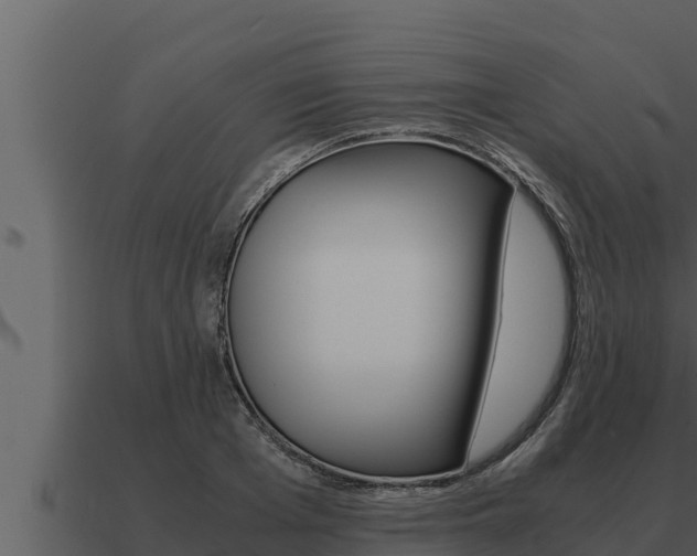 X0000091100985200708061018