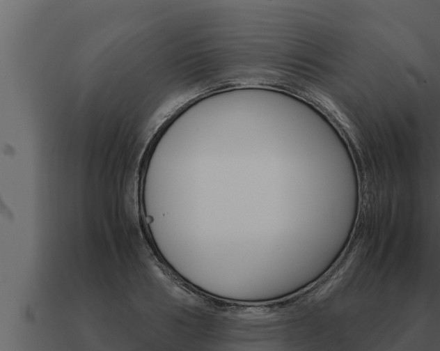 X0000091100986200708061018