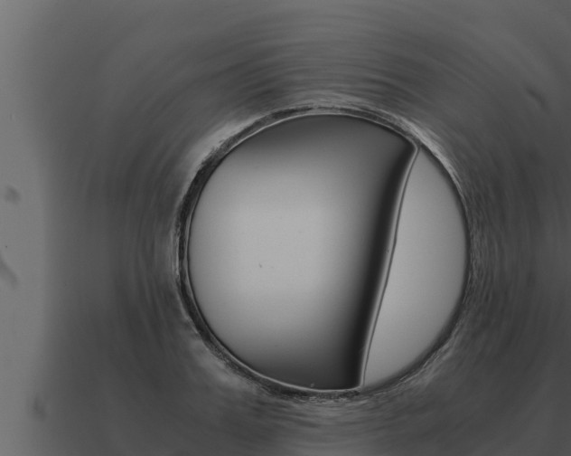 X0000091100987200708061018