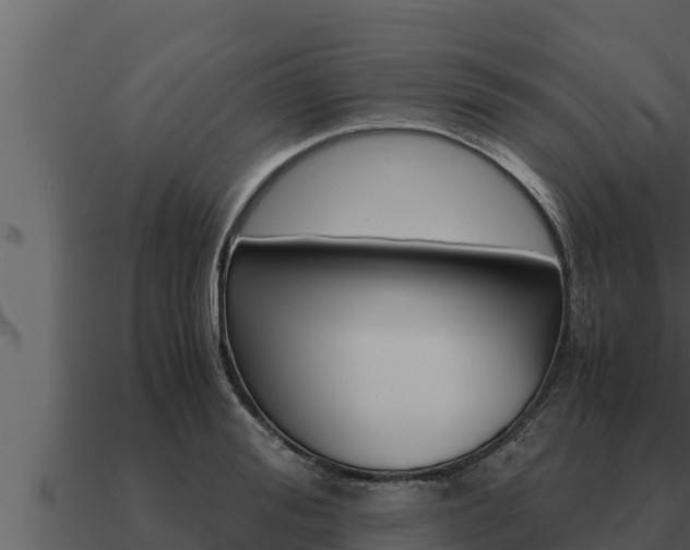 X0000091100988200708061018