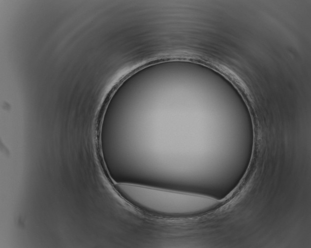 X0000091100989200708061018