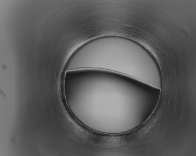 X0000091100991200708061018