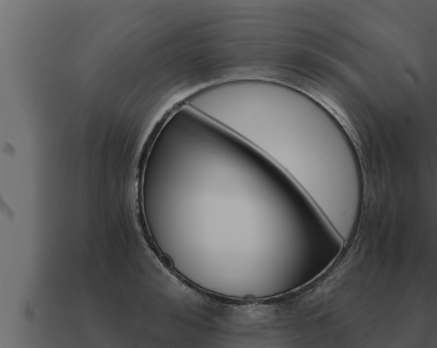 X0000091100992200708061018