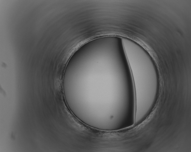 X0000091100993200708061018