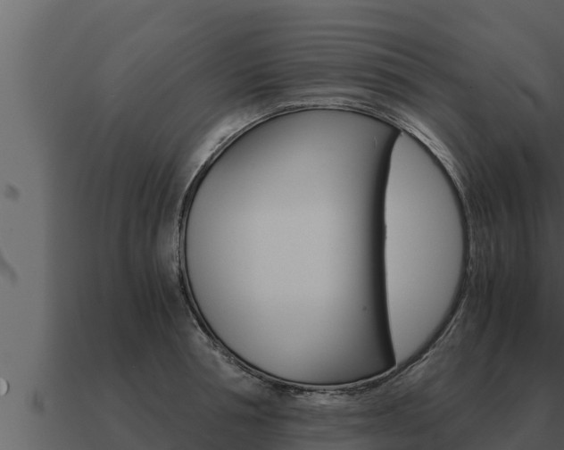 X0000091100994200708061018