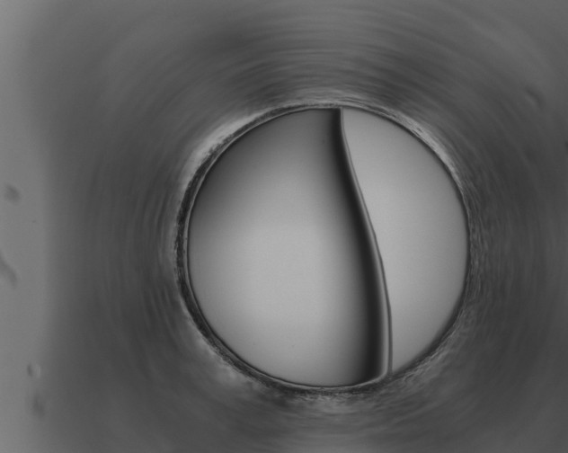 X0000091100995200708061018