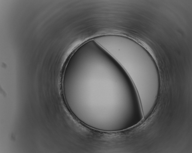 X0000091100997200708061018