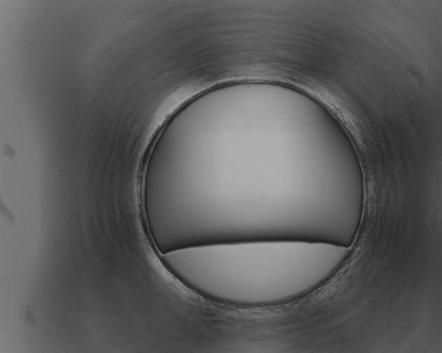 X0000091100998200708061018